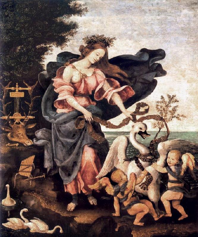 LIPPI, Filippino Allegory of Music or Erato sg Norge oil painting art